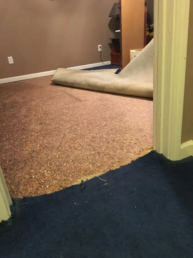 Carpet pad removal revealing water damage during Water Mitigation Services in North Reading